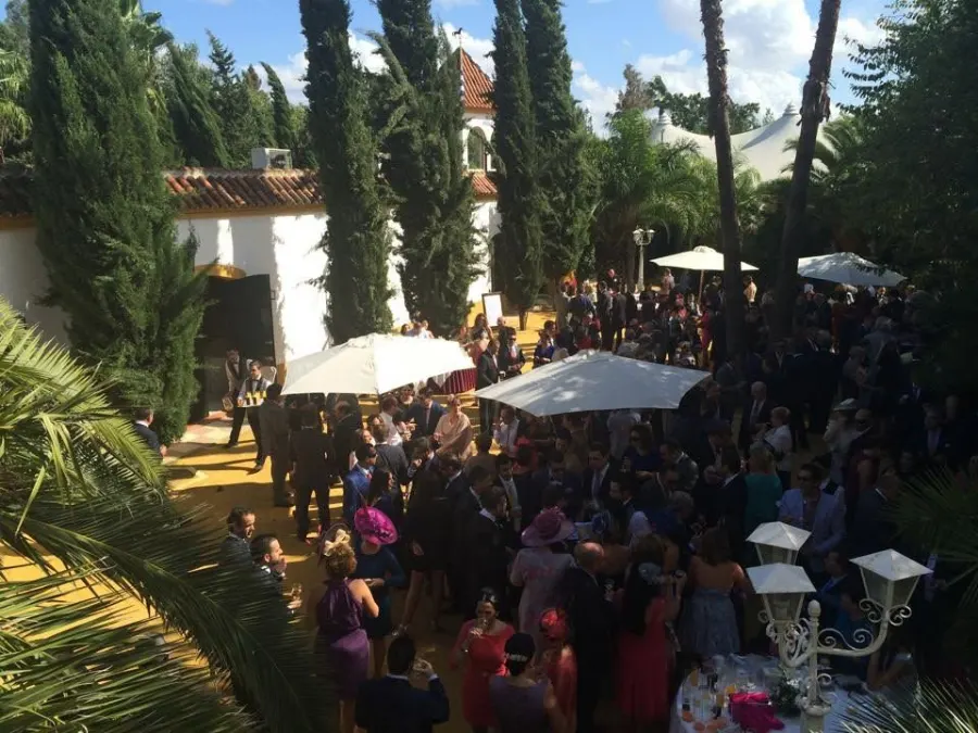 Invitados en el jardín entre cipreses y sombrillas