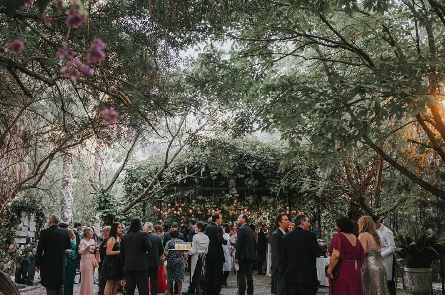 Cóctel al atardecer bajo los árboles del jardín